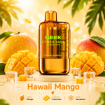 Hawaii Mango 40k Puff - Image 2